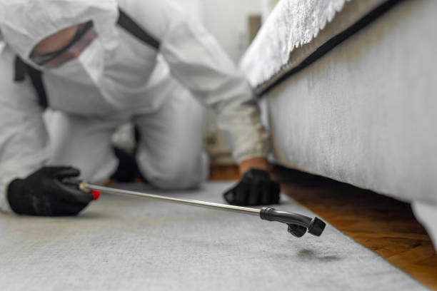 Professional Termite Control technician working in Rockcastle County County, KY
